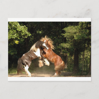 Spelen op zonsondergang briefkaart