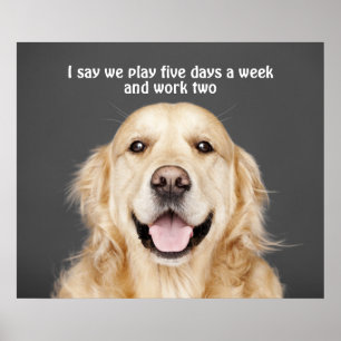 SPELEN VIJF DAGEN PER WEEK POSTER