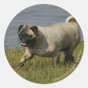 Spelend nabij water ronde sticker