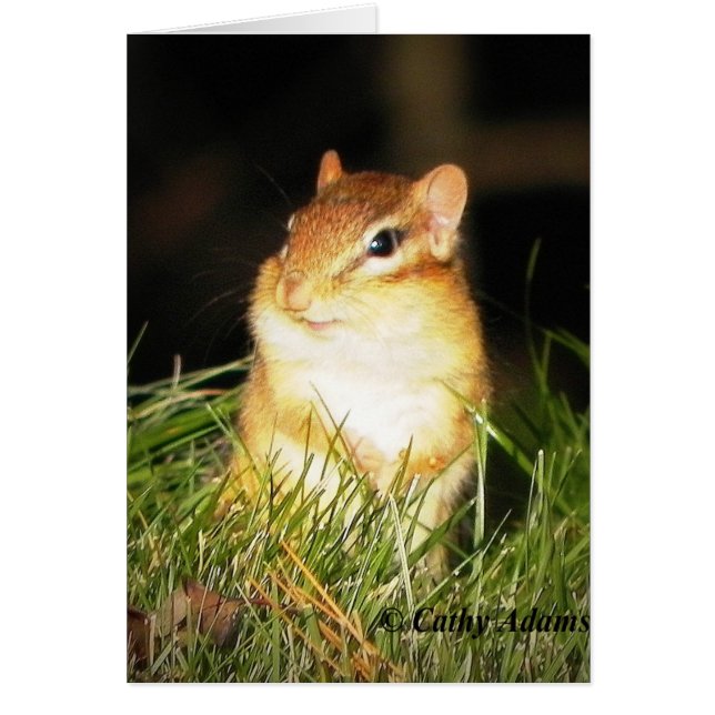 Spelende Chipmonk (Voorkant)