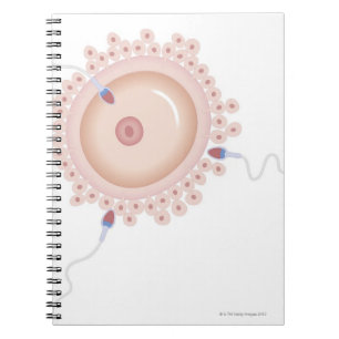 Sperm bevattende gemuteerde genen notitieboek
