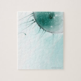 Sperm Fertilizing an Ovum. Legpuzzel