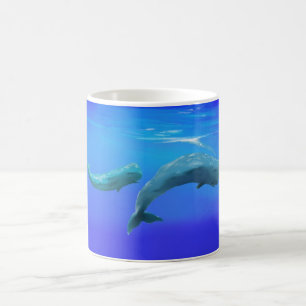 Sperm walvissen koffiemok