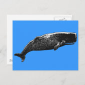 Sperm Whale Briefkaart (Voorkant / Achterkant)