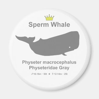 Sperm Whale g5 Magneet