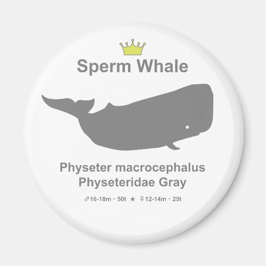 Sperm Whale g5 Magneet (Voorkant)