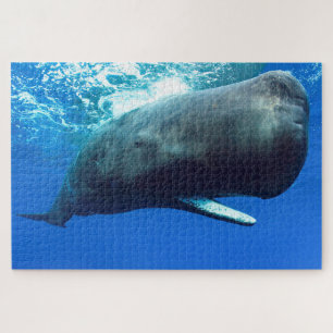 Sperm Whale Jigzaag Puzzle Legpuzzel
