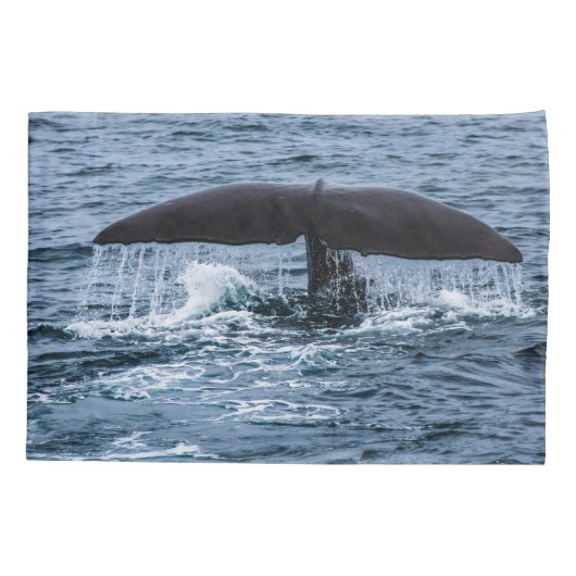 Sperm Whale Kussensloop (Achterkant)