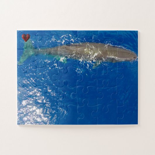 Sperm Whale Legpuzzel (Horizontaal)