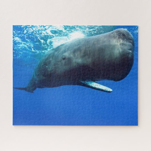 Sperm Whale Legpuzzel (Horizontaal)