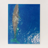 Sperm Whale Legpuzzel (Verticaal)