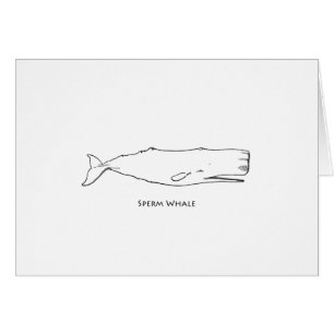 Sperm Whale (lijnkunst)