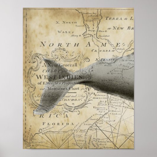 Sperm Whale Nautical Map Deel1 Poster (Voorkant)