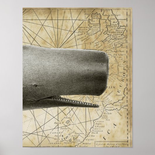 Sperm Whale  Nautical Map Deel3 Poster (Voorkant)