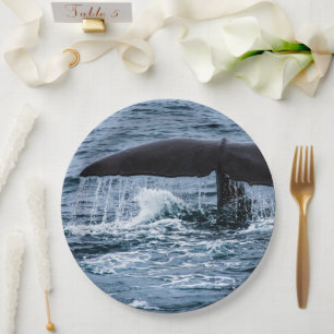 Sperm Whale Papieren Bordje