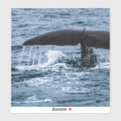 Sperm Whale Sticker (Vel)