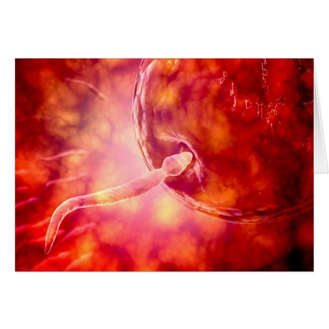 Sperme Reproductif Homme Entrant Dans L'Oeuf (Devant horizontal)