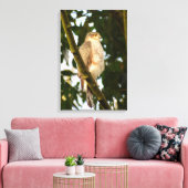 Sperwer canvas afdruk (Insitu (Woonkamer))