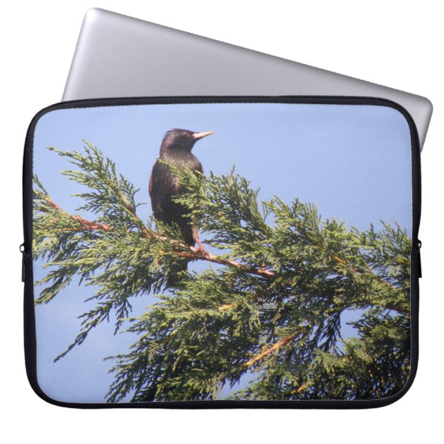 Sperwer in een Sparrenboom Laptop Tas (Voorkant)
