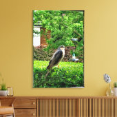 Sperwer In Mijn Tuin Canvas Afdruk (Insitu (Woonkamer))