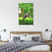 Sperwer In Mijn Tuin Canvas Afdruk (Insitu (Slaapkamer))