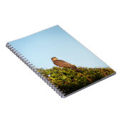 Sperwer Notitieboek (Rechterzijde)