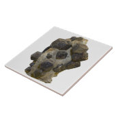 Spessartite in Matrix Tegeltje (Zijkant)