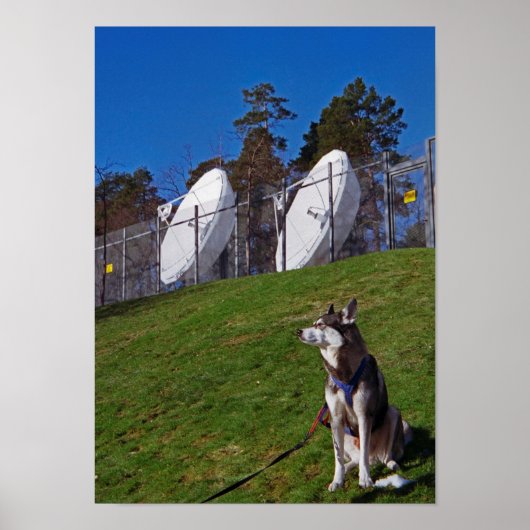 Speurhond Poster (Voorkant)