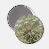 Sphère de liquide - Aimant (Recto/Verso)