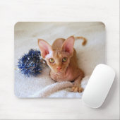 Sphinx Cat met Blue Tinsel Mousepad Muismat (Met muis)