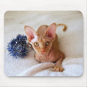 Sphinx Cat met Blue Tinsel Mousepad Muismat