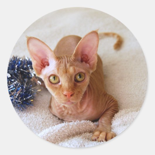 Sphinx Cat met Tinsel Sticker (Voorkant)