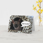 Sphinx Cat Verjaardag Humor Kaart (Gele Bloem)