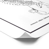  Sphinx-illustratie Poster (Hoek)