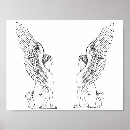  Sphinx-illustratie Poster (Voorkant)