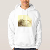 Sphinx in de woestijn hoodie (Voorkant)