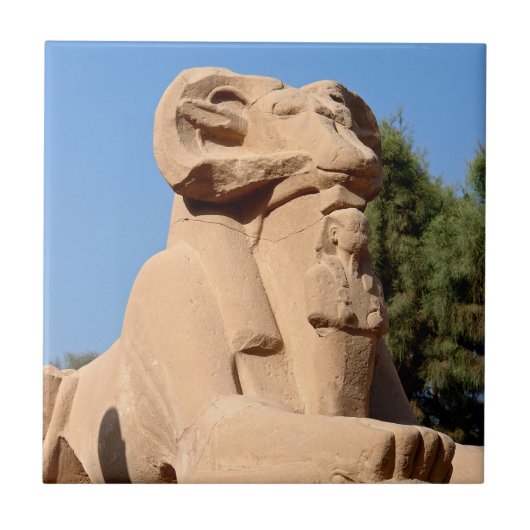 Sphinx in Karnak Temple - Egypte Tegeltje (Voorkant)