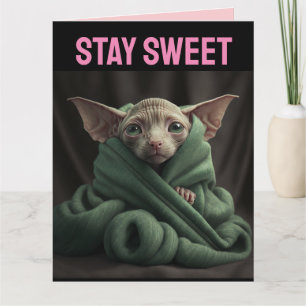 SPHINX KAT GROTE VALENTIJNSDAG KAART