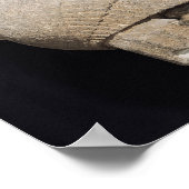 Sphinx Poster (Hoek)