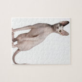 Sphynx (13 maanden oud) legpuzzel (Horizontaal)