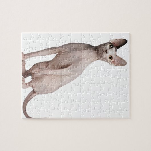 Sphynx (13 maanden oud) legpuzzel (Horizontaal)