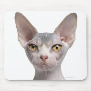 Sphynx (7 maanden oud) muismat