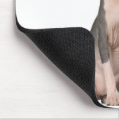 Sphynx (7 maanden oud) zittend muismat (Hoek)