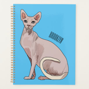 Sphynx cat