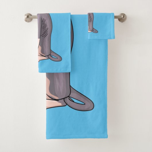 Sphynx cat (En situation)