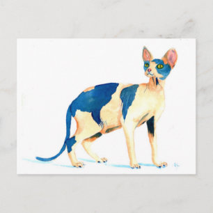 Sphynx Cat 5 Briefkaart