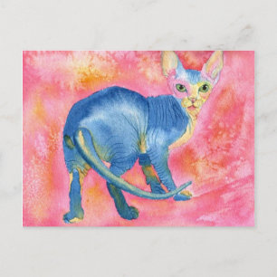 Sphynx Cat 7 Briefkaart