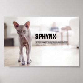 Sphynx Cat Breed Poster