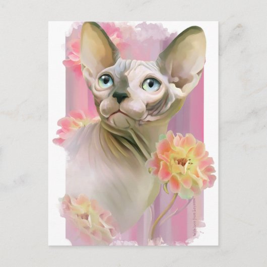 Sphynx Cat Briefkaart (Voorkant)