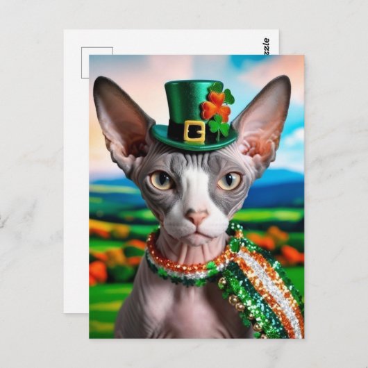 Sphynx Cat Briefkaart St. Patrick's Day Ierland (Voorkant / Achterkant)